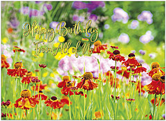 Flowers From All A2705G-W